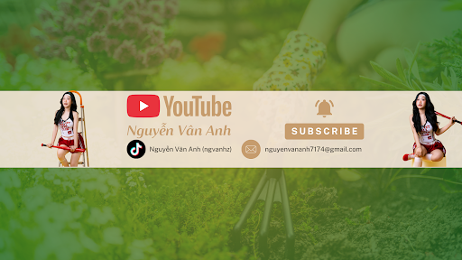 Nguyễn Vân Anh banner