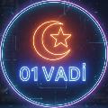 01 Vadi avatar
