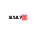 8147X Fussball avatar