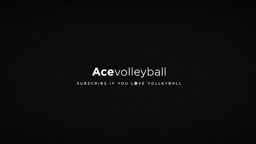 ACE VOLLEYBALL  banner