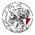 AFC Ajax avatar