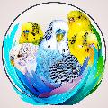Alen AxP avatar