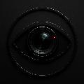 All In Camera avatar