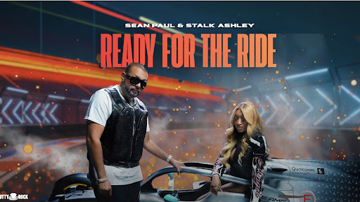 Sean Paul banner