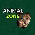 Animal Zone 11 avatar