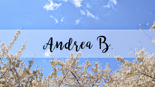 Andrea B. banner