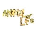 Animallife0203 avatar