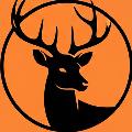 Animals vibes avatar
