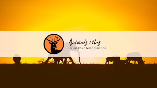 Animals vibes banner