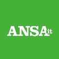 ANSA avatar