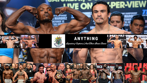 Anything banner