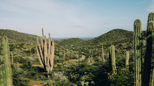 Aruba banner