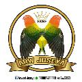 ARWANI JOSEYA avatar