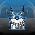 AS Gaming avatar