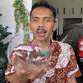 Askia Andika avatar