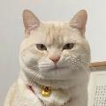 AthenaSphare avatar