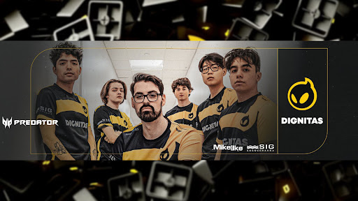 AussieAntics banner