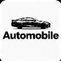 Automobile ash avatar
