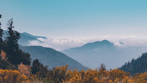 A vida é uma maravilha banner