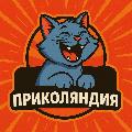 Приколяндия! avatar