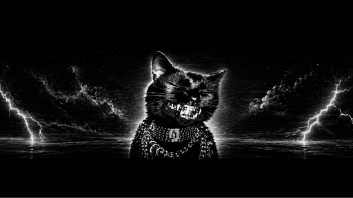bagheera باغيرا banner