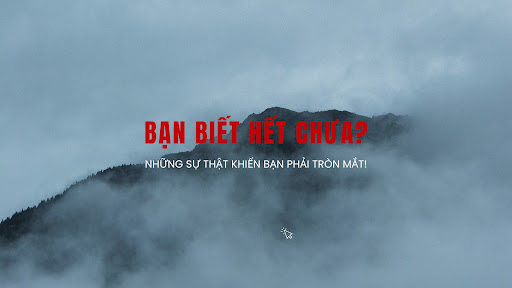 Bạn Biết Hết Chưa? banner