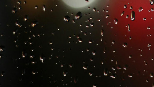 BaoLam banner