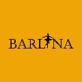 BARLLINA | بارلينا avatar