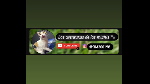 Las aventuras de las michis ♥️ banner