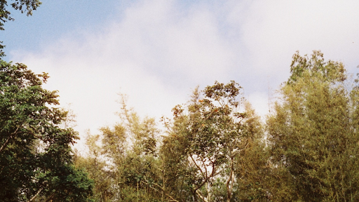 Ben&Ben banner