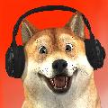 Berg Tv avatar