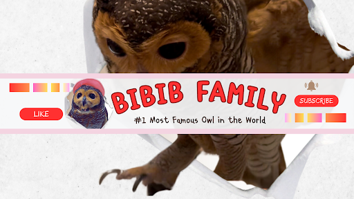 Bibib Family banner