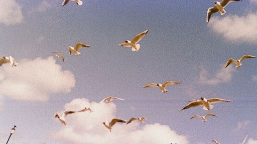 Billy Samuel banner