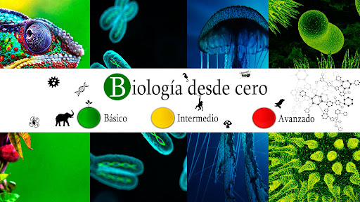Biología desde cero banner