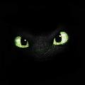 BLACK OCEAN  avatar