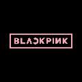 BLACKPINK avatar