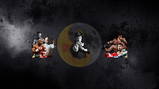 BLV Võ Thuật banner