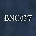 BNC037 CHANNEL avatar