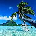 Bora Bora avatar