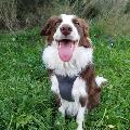 BorderTiberius avatar