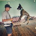 Brandywine Dog Academy avatar