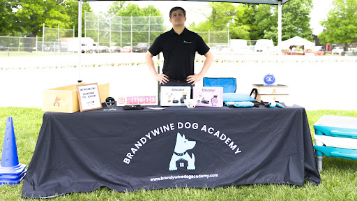 Brandywine Dog Academy banner