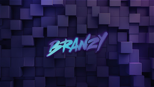 Branzy banner