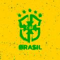 Confederação Brasileira de Futebol avatar