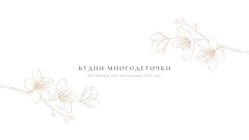 Будни Многодеточки banner