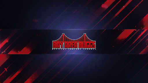 Bay Area Buggs banner