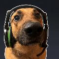 Burstify avatar
