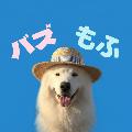 バズもふ動画 avatar