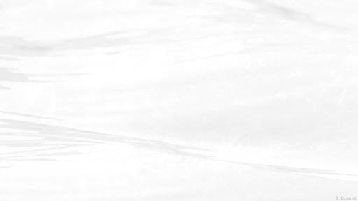 Apolo Ribera banner
