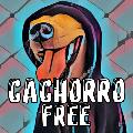 Cachorro Free avatar